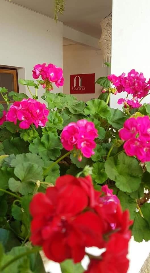 Hotel Casablanca 萨迈帕塔 外观 照片